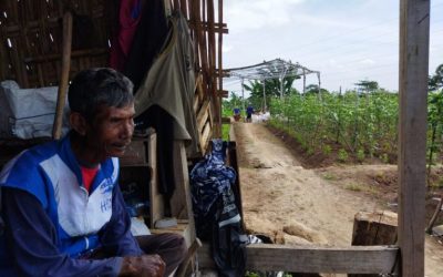 Bertani sebagai Jalan Spiritual: Membaca Alam bersama Pak Di dari Sukorejo, Pasuruan